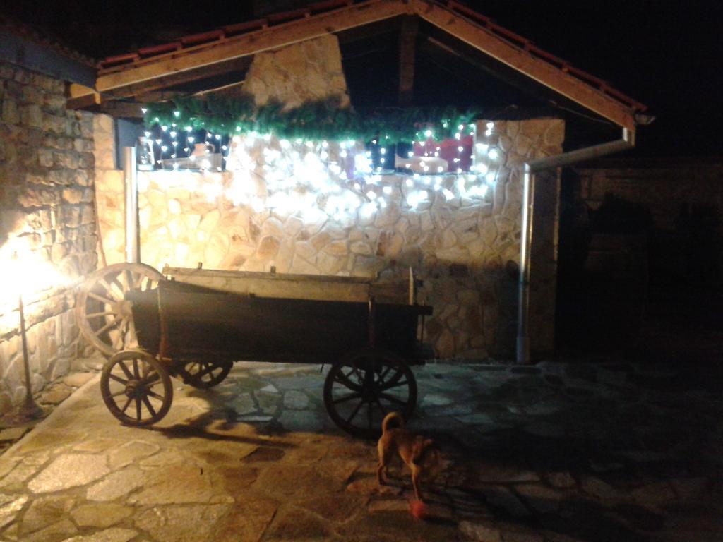 Къщата - Къща За Гости Ribarița Exterior foto