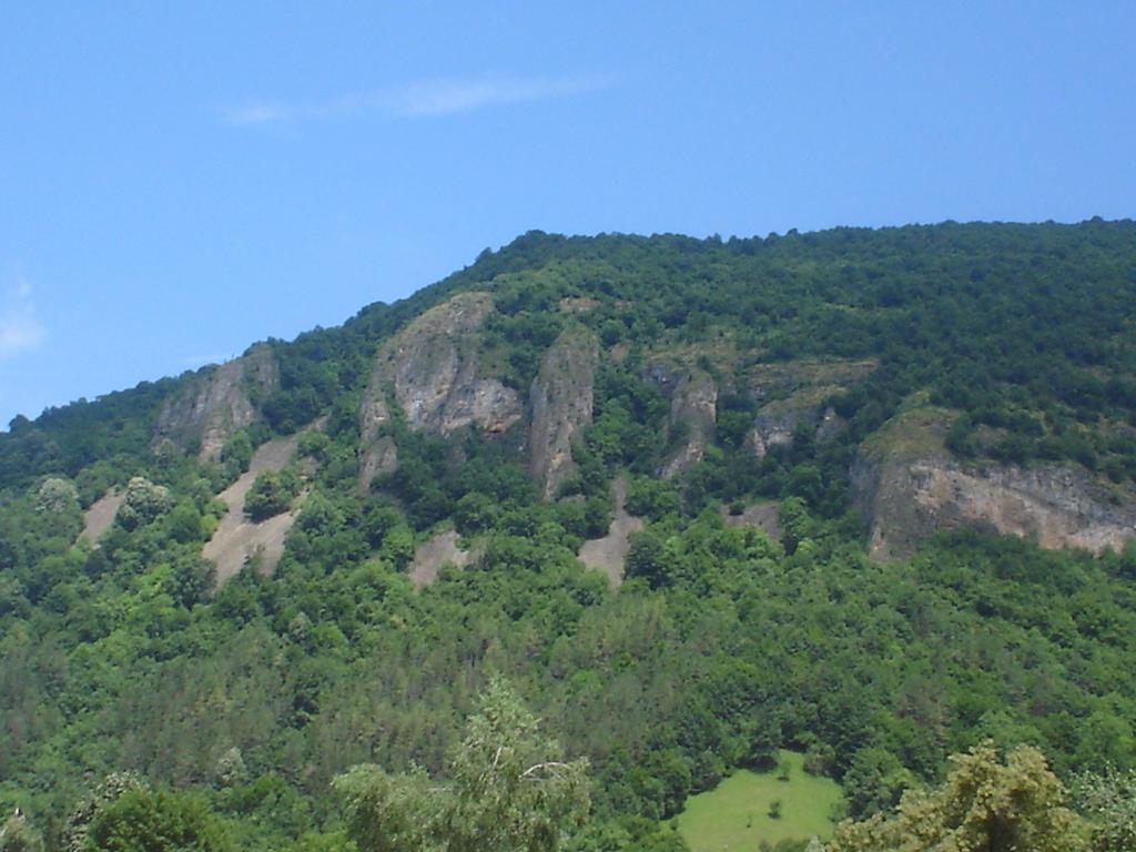 Къщата - Къща За Гости Ribarița Exterior foto